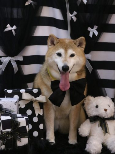 20260213こはるちゃん