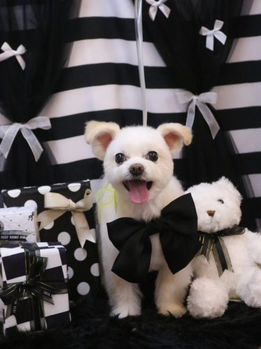 20260214こはるちゃん