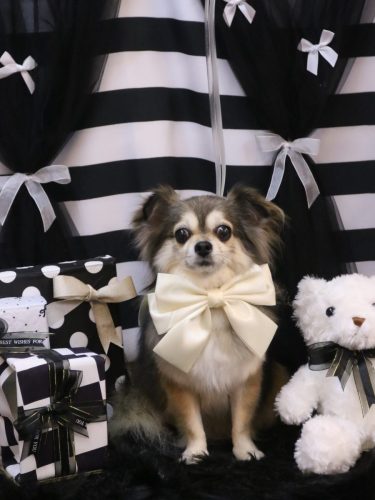 20260214あもちゃん