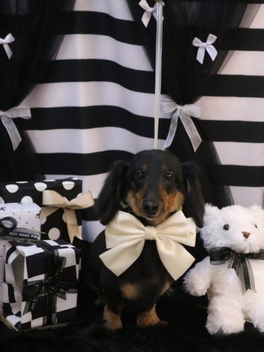 20260214オレンジくん