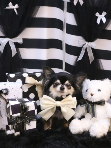 20260215アリューくん