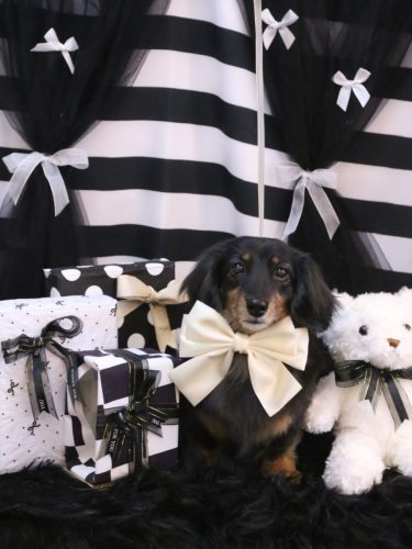 20260217モカちゃん