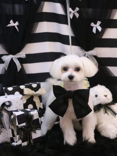 20260217ユキミちゃん