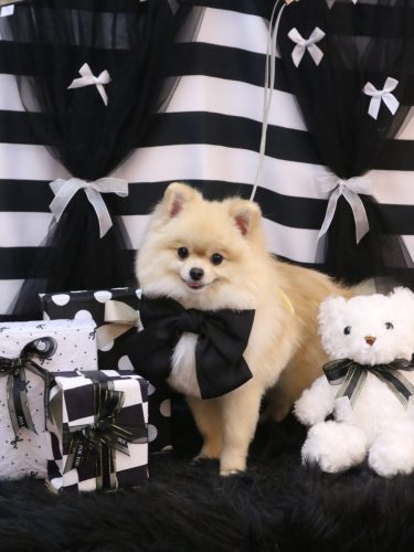 20260218クーくん