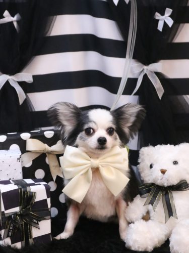 20260218レイくん