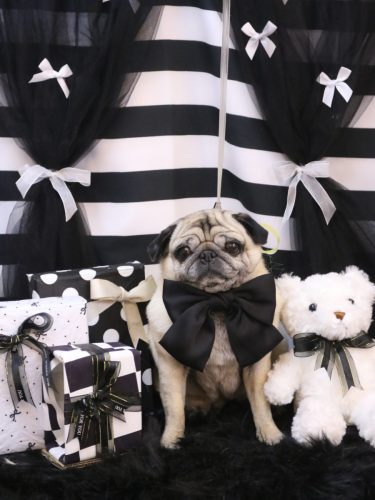 20260218くりこちゃん 