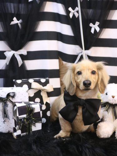 20260219レオくん