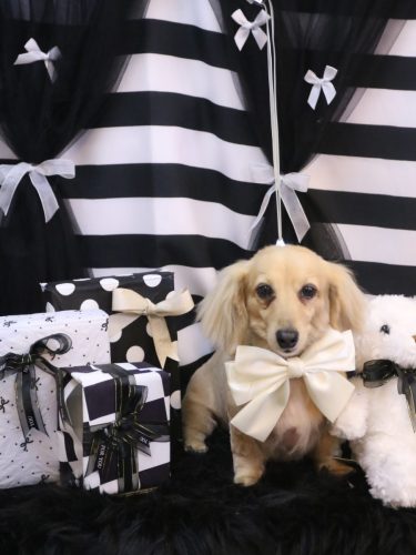 20260219こはるちゃん