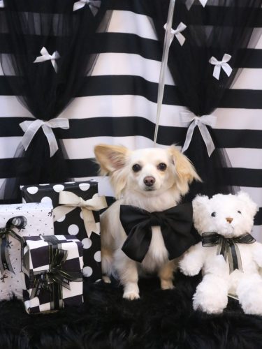 20260220めるちゃん