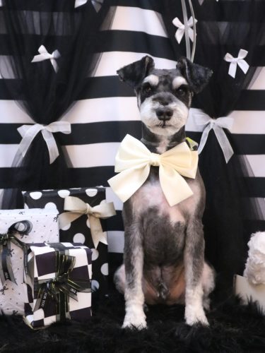 20260220ココくん