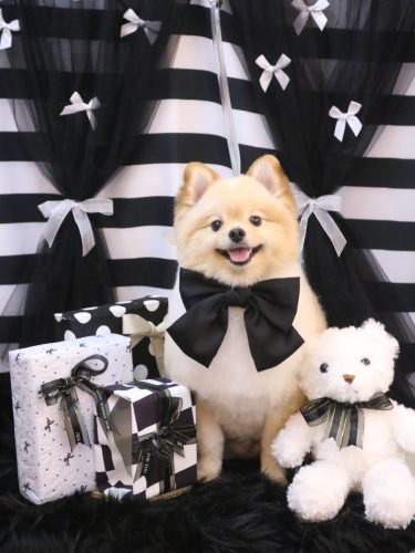 20260221パンくん