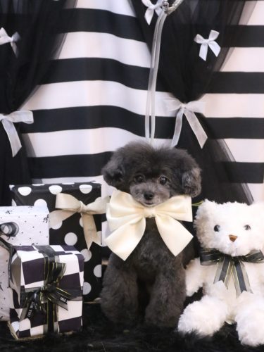 20260222NEROちゃん