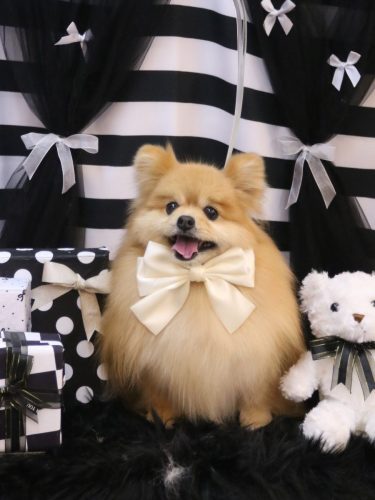 20260222梛都ちゃん