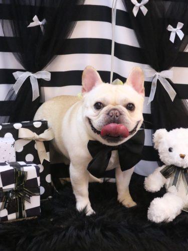 20260222だいずくん