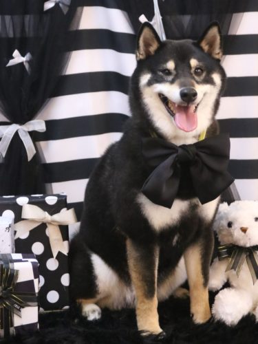 20260222黒丸くん