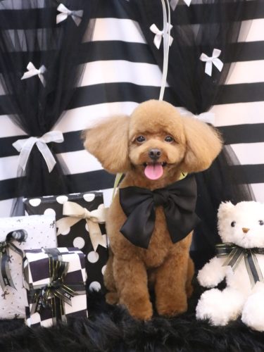 20260223ベルくん