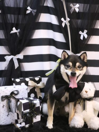 20260224ふうくん