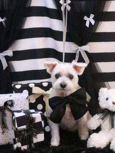 20260224ヒメちゃん