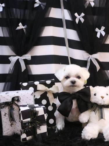 20260224マルちゃん