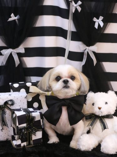 20260224カンタくん