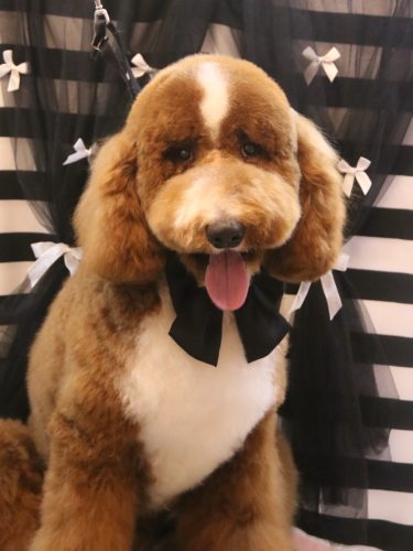 20260225アムくん