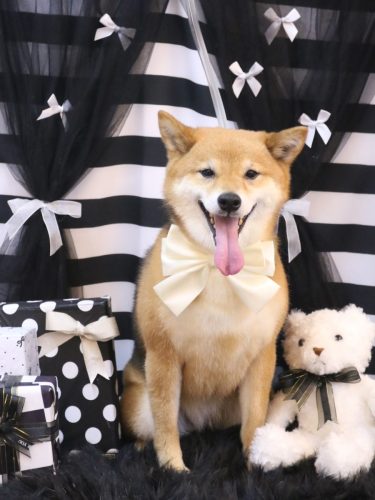 20260225リンちゃん