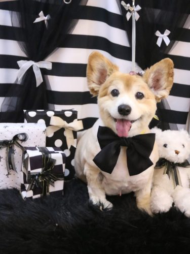 20260225ナナちゃん