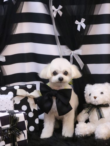 20260226小雪ちゃん