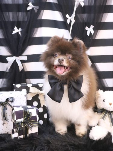 20260226太郎くん