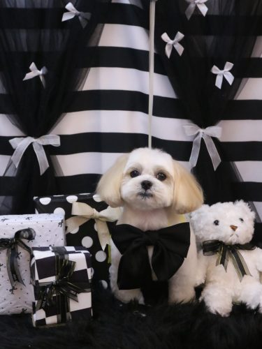 20260227ふくくん