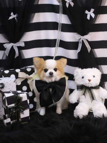 20260227りくくん