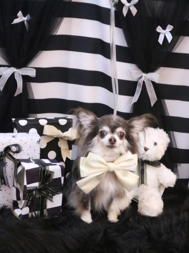 20260227空太くん