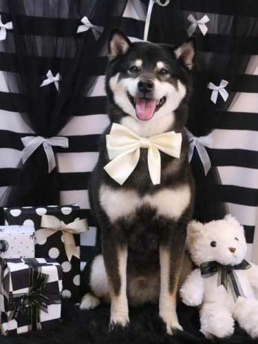 20260228ジローくん