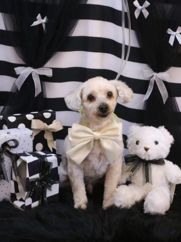 20260228ペカくん