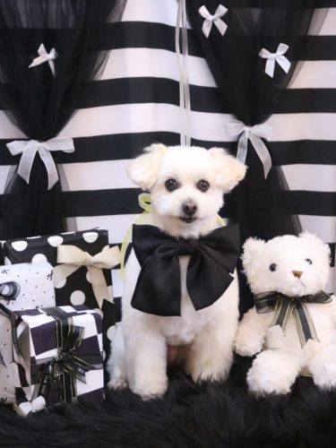 20260228うみちゃん