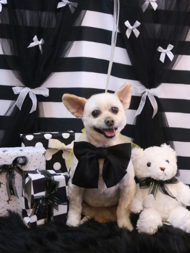 20260228ポンタくん