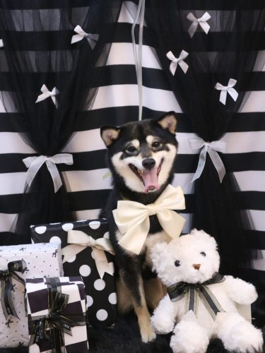 20260228むさしくん