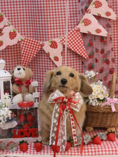 20260301モカちゃん