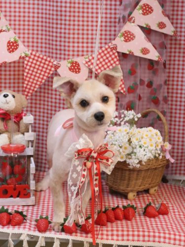 20260301しずくくん