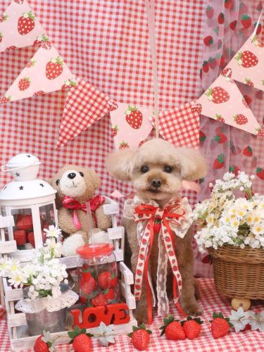 20260301そらくん