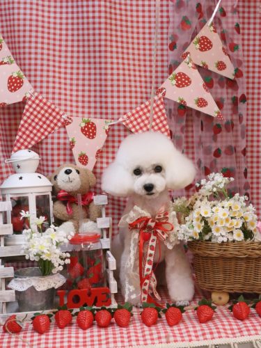 20260303ゆわちゃん