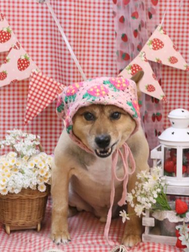 20260303やまとくん