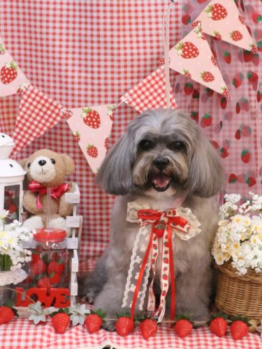 20260303蘭太郎くん