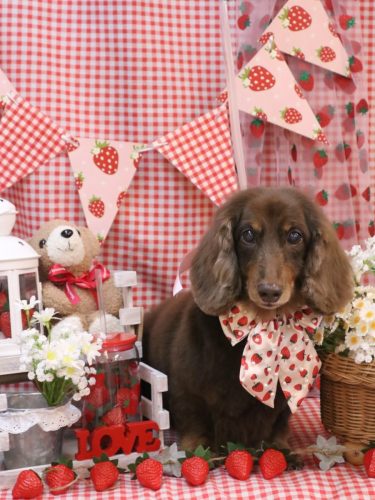 20260303ジョナくん