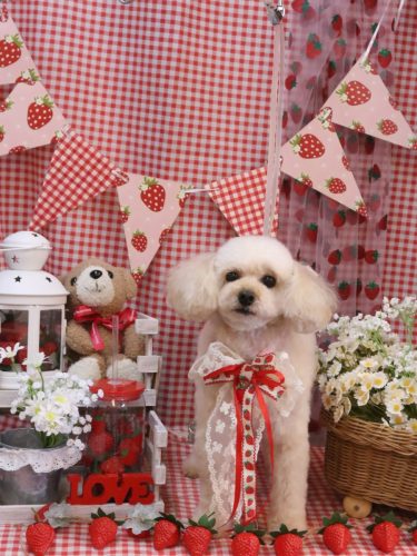 20260304リコちゃん