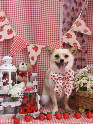 20260304ももくん