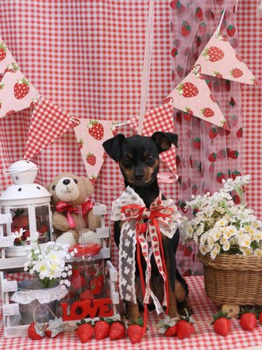 20260304神桜ちゃん