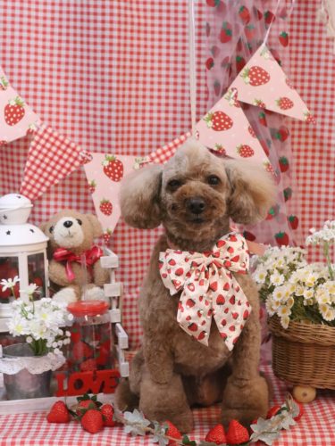 20260305くぅくん