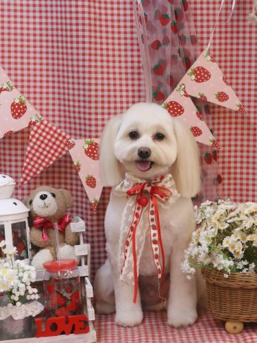 20260306風太郎くん