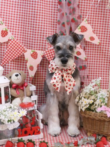 20260307小鉄くん